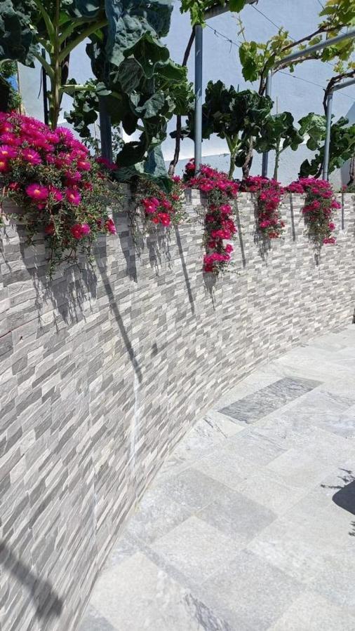 Casa Dos Avos Villa Alcaria da Serra Bagian luar foto